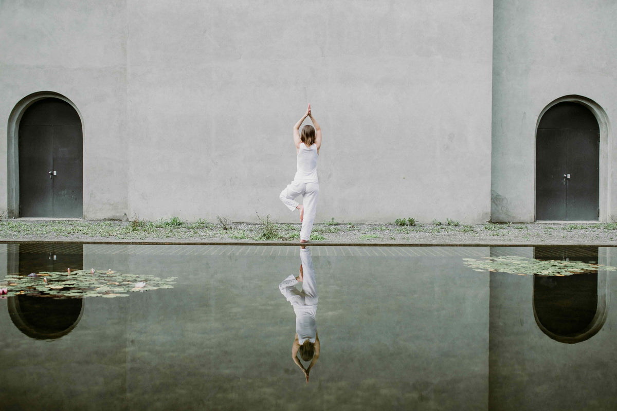 Movement to Ignite